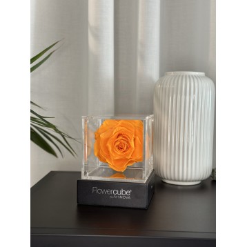 Flowercube Arancio