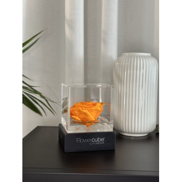 Flowercube Arancio
