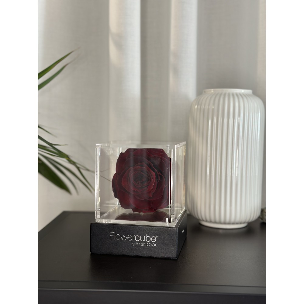 Flowercube Bordeaux Flowercube Bordeaux
