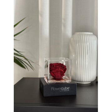 Flowercube Bordeaux