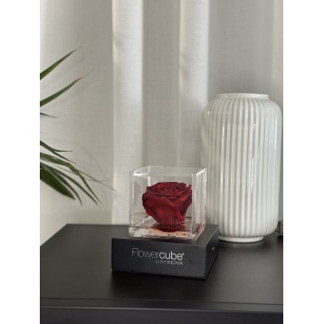 Flowercube Bordeaux