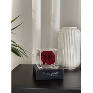 Flowercube Bordeaux