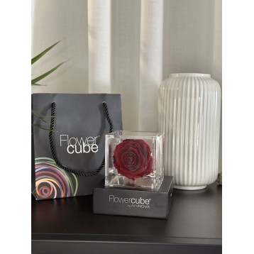 Flowercube Bordeaux