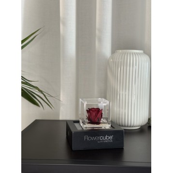 Flowercube Bordeaux