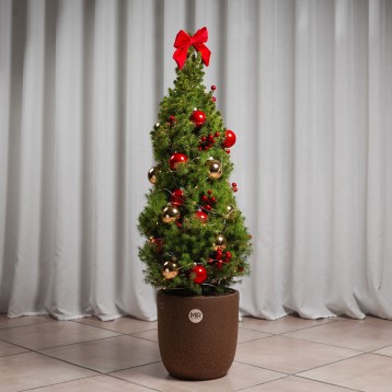 Albero natalizio decorato